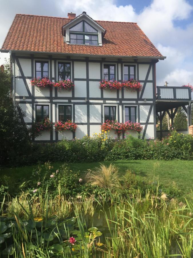 Schoene Gemuetliche Ferienwohnung Mit Kamin I Im Harz Darlingerode Extérieur photo