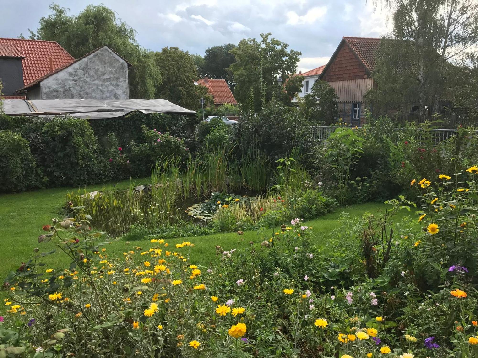 Schoene Gemuetliche Ferienwohnung Mit Kamin I Im Harz Darlingerode Extérieur photo